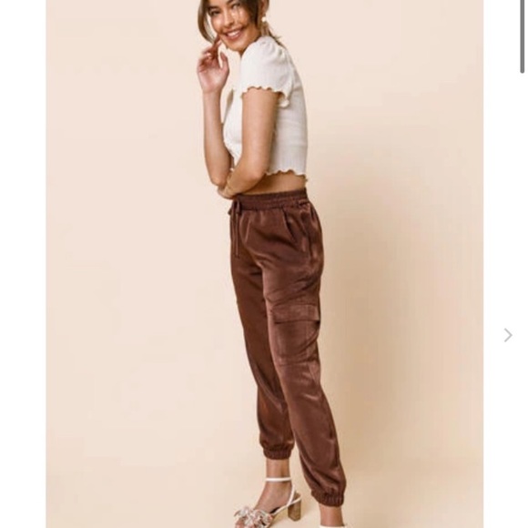 🎇🎉🍁🍂Metallic Bronze Satiny Cargo Pants - Picture 3 of 5